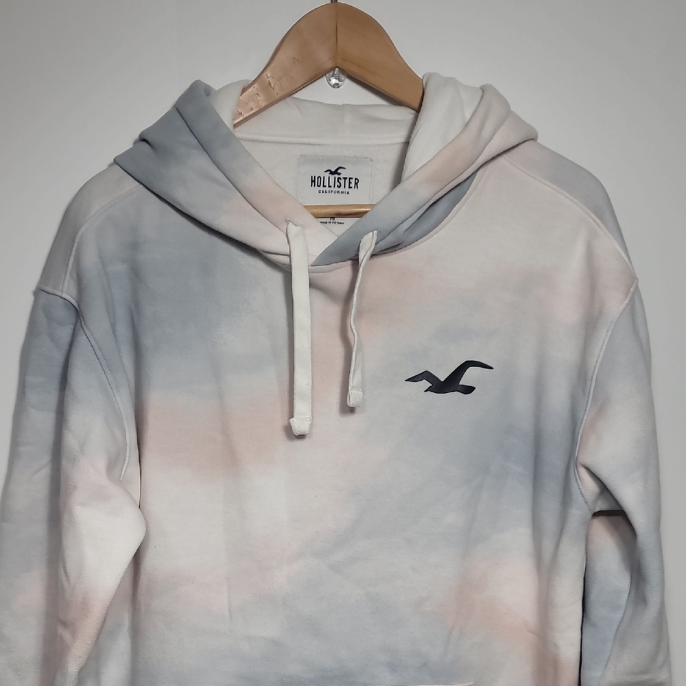 Hollister Pastel Hoodie with Logo